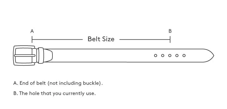 Cognac Western Cowboy Belt Concho Leather - Silver Buckle